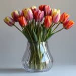 Bouquet de tulipes : Créez des bouquets vibrants et colorés pour toute occasion